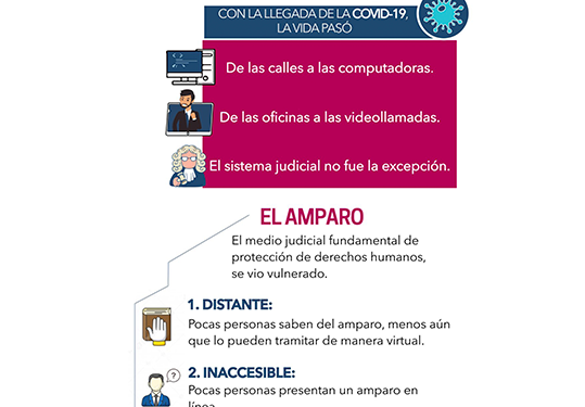 Vivimos en el Des-Amparo