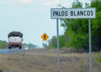 La desaparición de más de 40 migrantes en México ilustra la impunidad del crimen en el país