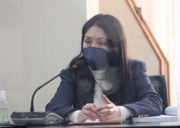 Organizaciones internacionales respaldan y darán acompañamiento a Aifán