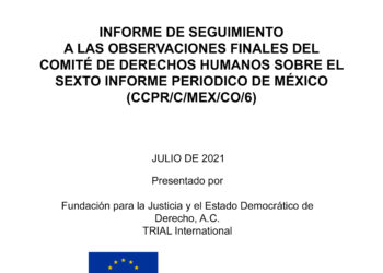 Informe se seguimiento a las observaciones finales de Comité de Derechos Humanos sobre el Sexto Informe Periódico de México (CCPR/C/MEX/CO/6)