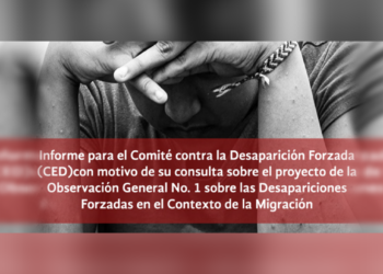Informe para el Comité de Desaparición Forzada (CED) con motivo de su consulta sobre el proyecto de la Observación General No. 1