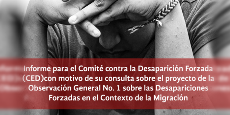 Informe para el Comité de Desaparición Forzada (CED) con motivo de su consulta sobre el proyecto de la Observación General No. 1