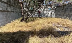 CNDH exige avances en investigación de la masacre de San Fernando