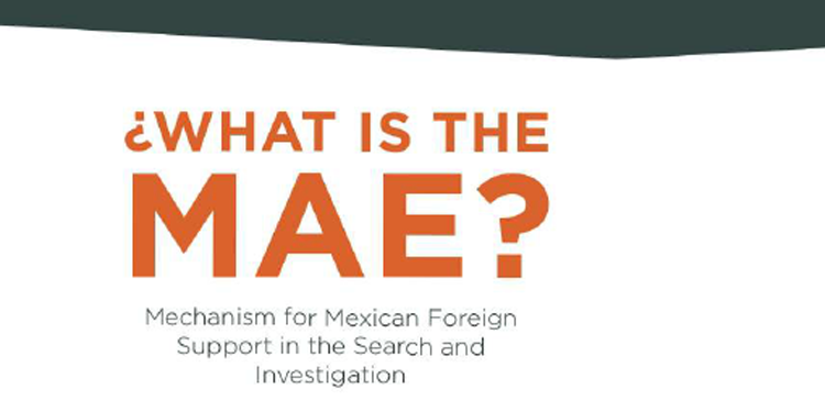 What is the MAE?