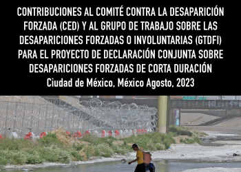 Contribuciones al Comité contra la Desaparición Forzada y al Grupo de Trabajo sobre las Desapariciones Forzadas o Involuntarias para el proyecto de declaración conjunta sobre desapariciones forzadas de corta duración