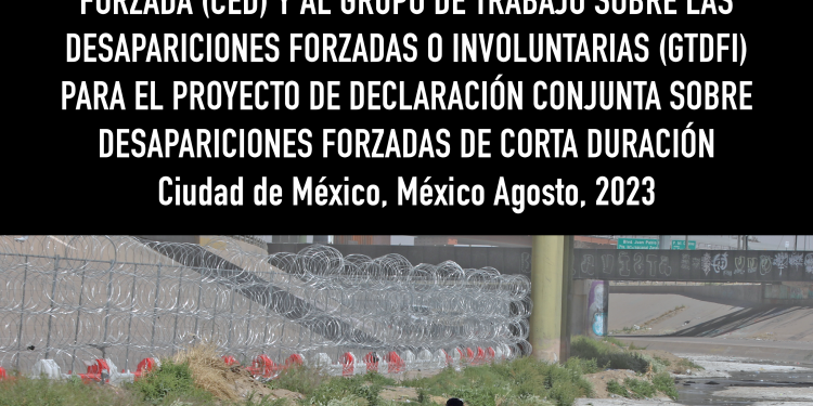 Contribuciones al Comité contra la Desaparición Forzada y al Grupo de Trabajo sobre las Desapariciones Forzadas o Involuntarias para el proyecto de declaración conjunta sobre desapariciones forzadas de corta duración