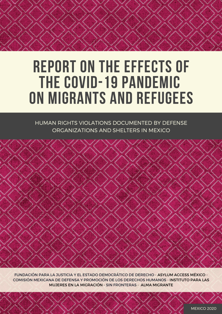 Report on the Effects of the COVID-19 Pandemic on Migrants and Refugees ...