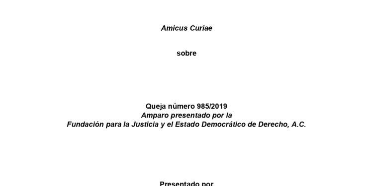 Amicus Curiae CEJIL