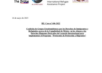 Amicus Curiae Coalicion Grupos EU Ddhh