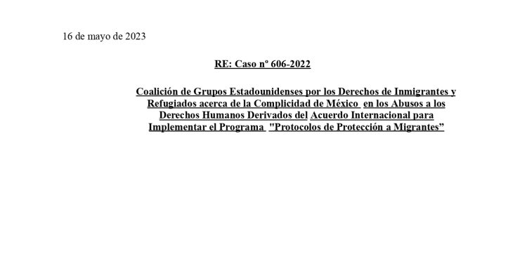 Amicus Curiae Coalicion Grupos EU Ddhh