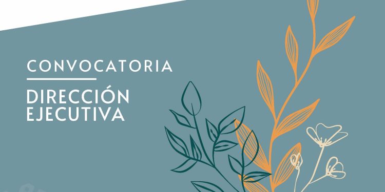 Convocatoria: Buscamos a una persona líder para ocupara la Dirección Ejecutiva