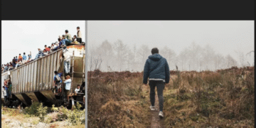 Migrantes son reclutados por crimen organizado: Fabienne Cabaret