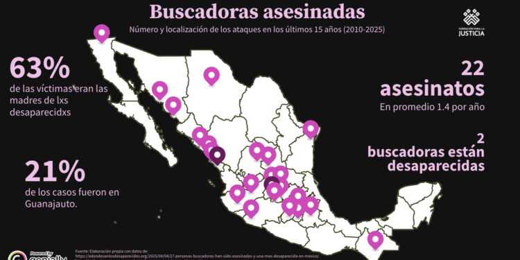 22 buscadoras asesinadas en 15 años, más de la mitad eran las madres de lxs desaparecidxs