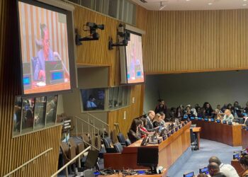 Foro de Examen de la Migración Internacional (FEMI) 2026