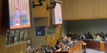 Foro de Examen de la Migración Internacional (FEMI) 2026