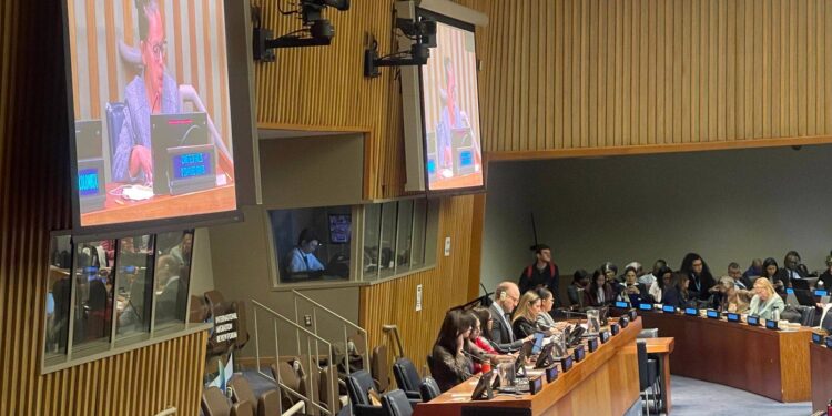 Foro de Examen de la Migración Internacional (FEMI) 2026